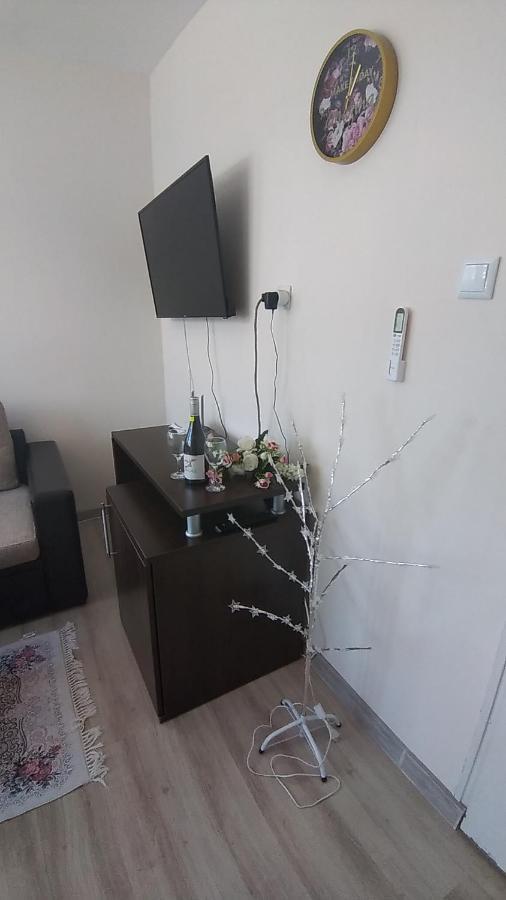 Rose & Water Guest House Pavel Banya Exterior photo